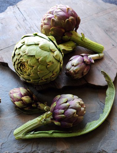 4 Pcs Heirloom Purple Headed Artichoke Organic Vegetables