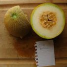 20 Pcs Italian Ananas Hami Melon Fruits
