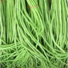 20 Pcs 40 inch Super Long Green Cowpea Organic Vegetables 20 Pcs 40 inch Super Long Green Cowpea Organic Vegetables