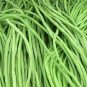20 Pcs 40 inch Super Long Green Cowpea Organic Vegetables