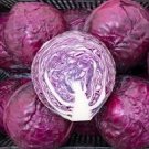 100 Pcs Red Drumhead Cabbage Organic Vegetables 100 Pcs Red Drumhead Cabbage Organic Vegetables