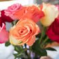 50 Pcs Rare 8 Types of Colorful Valentine's Romantic Rose Flower