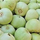 20 Pcs Green Muskmelon Sweet Melon