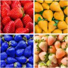 100 Pcs Mixed 4 Types of Blue Purple White Red Strawberry