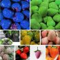 100 Pcs Mixed 4 Types of Blue Purple White Red Strawberry