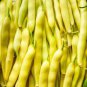 15 Pcs Heirloom Roma I Yellow Bean Seeds