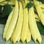 15 Pcs Heirloom Roma I Yellow Bean Seeds