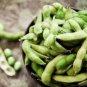 10 Pcs Heirloom Green Organic Edamame Vegetables