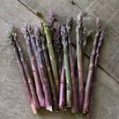 20 Pcs Precoce D'Argenteuil Asparagus