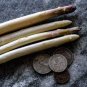 20 Pcs Precoce D'Argenteuil Asparagus