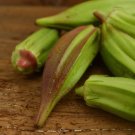 20 Pcs Rare Hill Country Green Okra with red stripe herb vegetables 20 Pcs Rare Hill Country Green Okra with red stripe herb vegetables
