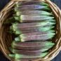 20 Pcs Rare Hill Country Green Okra with red stripe herb vegetables