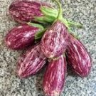 100 Pcs Listada De Grandia Purple White Eggplant Vegetables