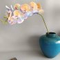 100 Pcs Rare Purple Green Bonsai Orchid Flower seeds