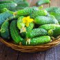 20 Pcs Heirloom Fruits Cucumber Vegetables