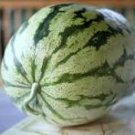 10 Pcs Heirloom Green White Big Sweet Watermelon