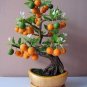 20 Pcs Heirloom Bonsai Ornamental Sweet Orange Fruit Tree