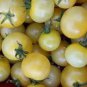100 Pcs Heirloom White Cherry Tomato Organic Fresh Fruit Vegetables