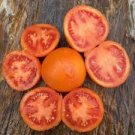 100 Pcs Zlatava Tomato Seeds 100 Pcs Zlatava Tomato Seeds
