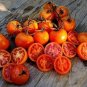100 Pcs Zlatava Tomato Seeds
