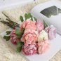 5 Pcs 'Caifeng' Pinkish White Peony