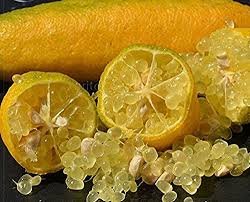 10 Pcs Yellow Finger Lime Pomegrante Plant seeds