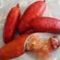 10 Pcs Imported Orange Finger Lime Pomegrante Plant