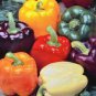 30 Pcs Sweet Bell Pepper Mixed Seeds