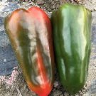 100 Pcs Russian Giant Sweet Pepper Seeds