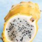 100 Pcs Dragon Fruit Pitaya Red (White, Yellow) Organic Seeds