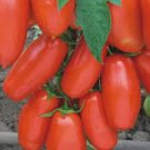 100 Pcs Red Bananas Tomatoes Seeds 100 Pcs Red Bananas Tomatoes Seeds