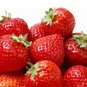 100 Pcs Strawberry Heirloom Imported Seeds