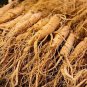 6 Pcs Heirloom Chinese Hardy Panax Ginseng Ashwaganda Seeds