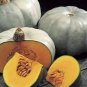 10 Pcs Crown Squash Seeds
