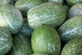 8 Pcs Heirloom Malabar Gourd Seeds, Original Pack