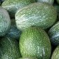 8 Pcs Heirloom Malabar Gourd Seeds, Original Pack