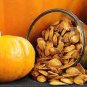 6 Pcs Giant Pumpink Seeds