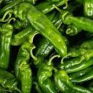 50 Pcs Dark Green Horn Pepper Vegetable