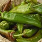 50 Pcs Dark Green Horn Pepper Vegetable