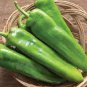 50 Pcs Dark Green Horn Pepper Vegetable
