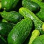 10 Pcs Fruit Cucumber Straight Refreshing Vegatable Seeds