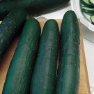 20 Pcs Cucumber Dark Green Crisp Barbed Vegetable Seeds 20 Pcs Cucumber Dark Green Crisp Barbed Vegetable Seeds