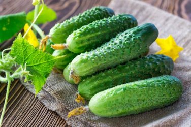 20 Pcs Cucumber Mixed Mini Small Medium Large Vegetable Seeds