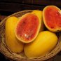 20 Pcs Watermelon 'Gift of the Sun' Yellow Skin Red Inside Fruit Seeds