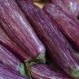 200 Pcs Eggplant 'Fairy Tale' Purple Yellow Vegetable Seeds