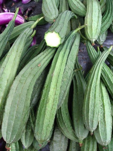 8 Pcs Loofah Giant Thick Climbing Sponge Gourd Seeds