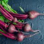 50 Pcs Beet Root Red 'Early Wonder' Vegetable Seeds