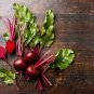50 Pcs Beet Root Red 'Early Wonder' Vegetable Seeds