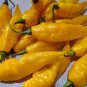 15 Pcs Chilli Peruvian Lemon Yellow Hot Pepper Seeds