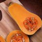 10 Pcs Pumpkin Sweet Mallorca Seeds